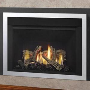Regency Horizon HRI3E Gas Insert