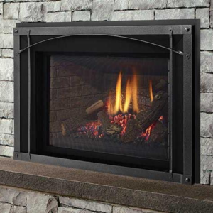 Regency Liberty LRI6E Gas Insert