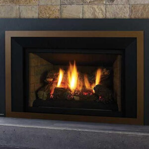 Regency Liberty LRI4E Gas Insert